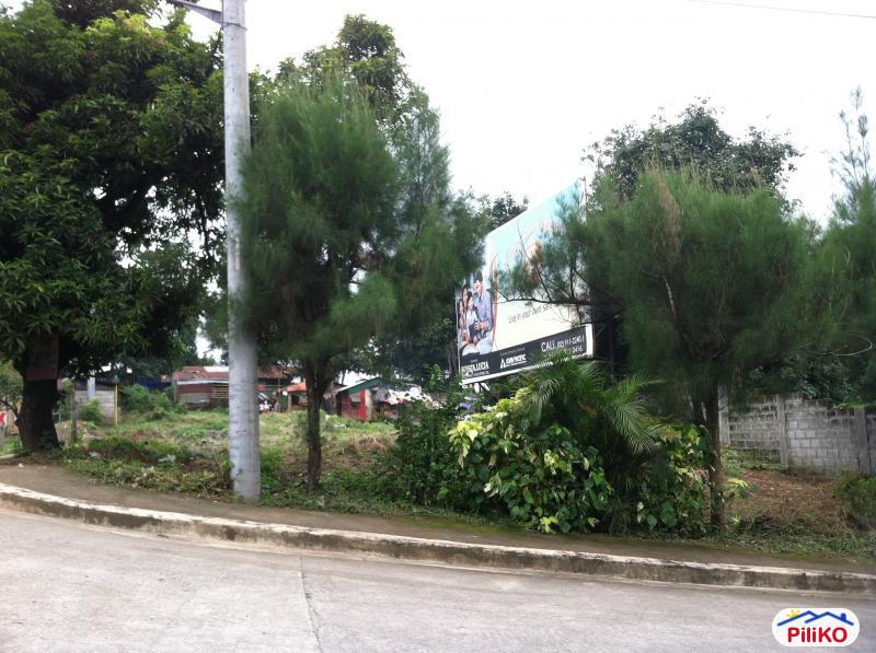 Residential Lot for sale in Antipolo - image 3