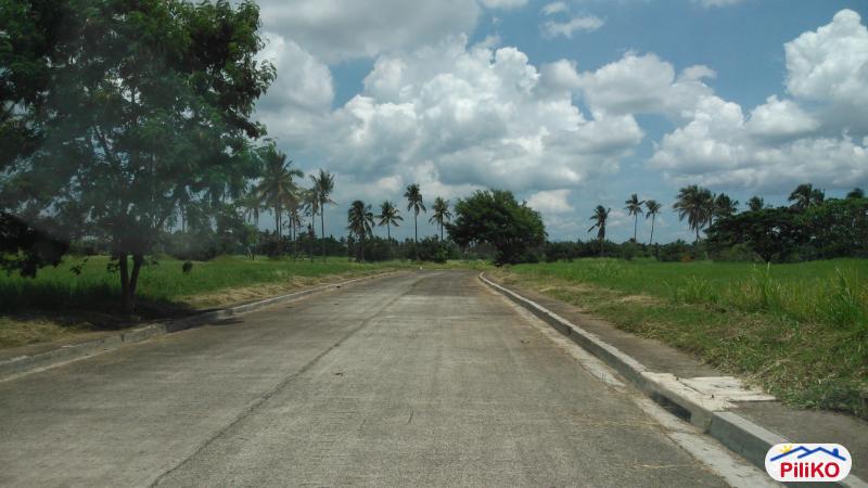 Residential Lot for sale in Lipa - image 4