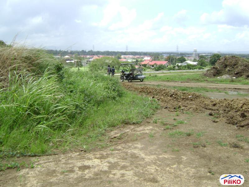 Residential Lot for sale in Santo Tomas - image 5