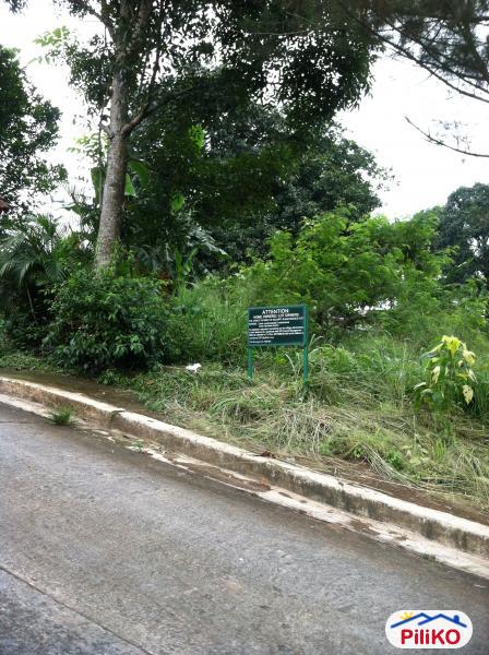 Residential Lot for sale in Antipolo - image 6