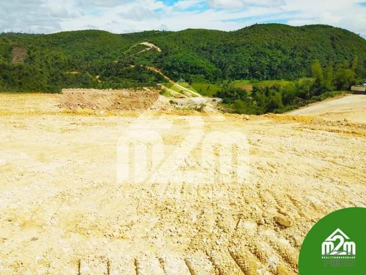 Residential Lot for sale in Consolacion - image 2
