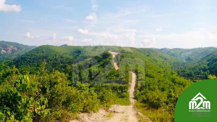 Lot for sale in Consolacion - image 2