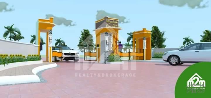 Lot for sale in Consolacion - image 3