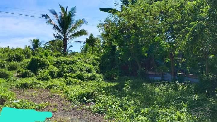Residential Lot for sale in Danao