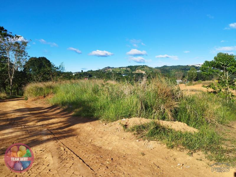 Residential Lot for sale in San Mateo - image 5
