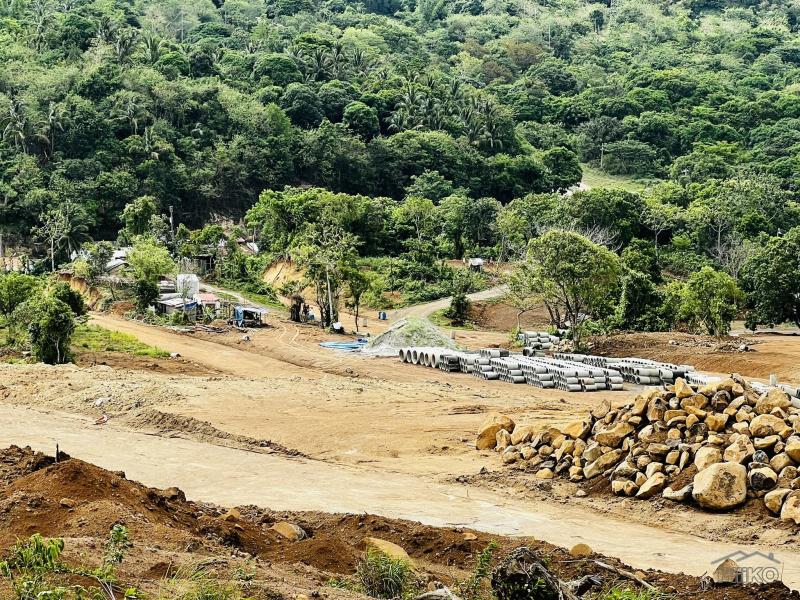 Residential Lot for sale in Pililla - image 2