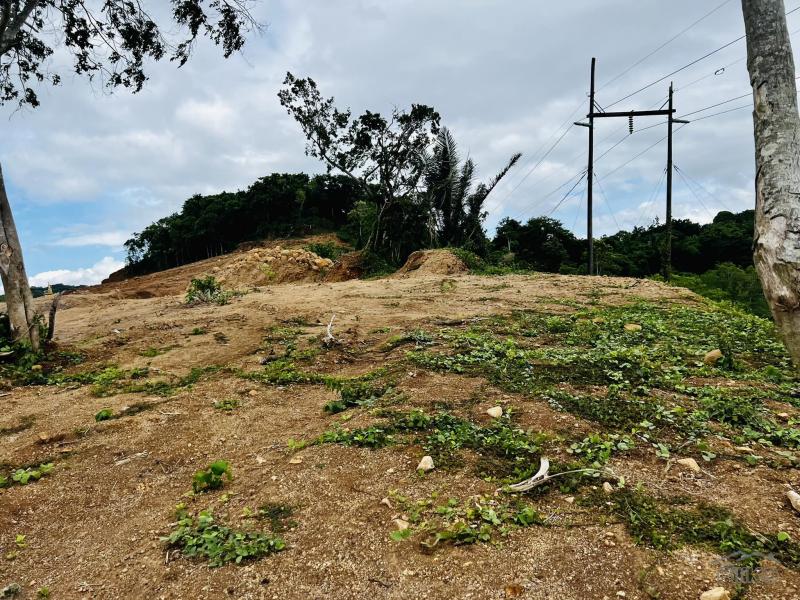Residential Lot for sale in Pililla - image 4