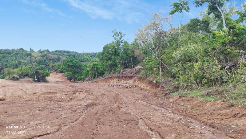 Picture of Other lots for sale in Pililla