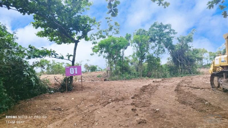 Other lots for sale in Pililla in Philippines