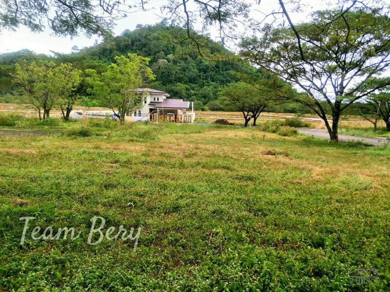 Lot for sale in Baras - image 10