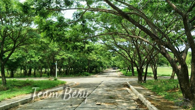 Lot for sale in Baras - image 11