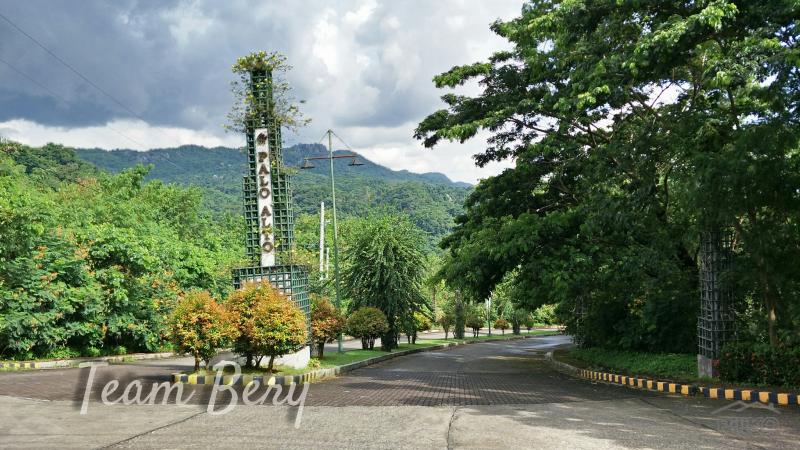 Lot for sale in Baras - image 12