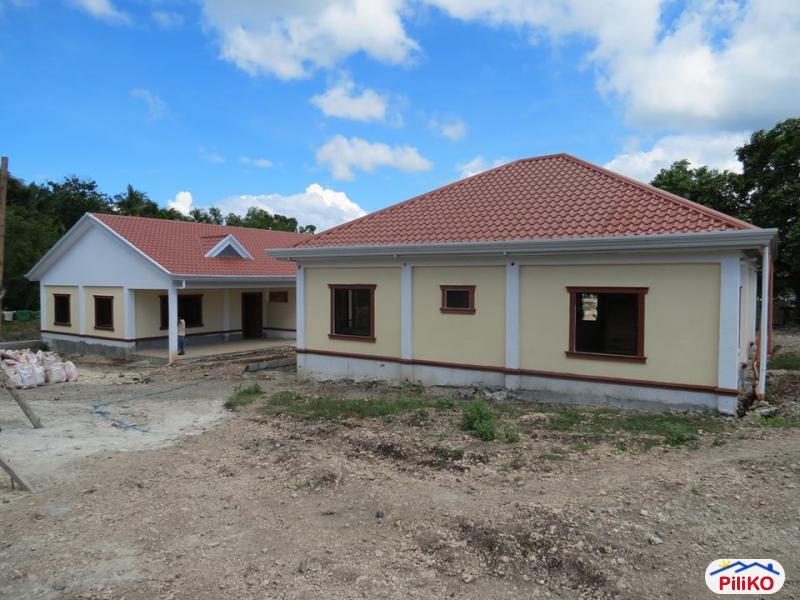 1 bedroom House and Lot for sale in Panglao - image 10