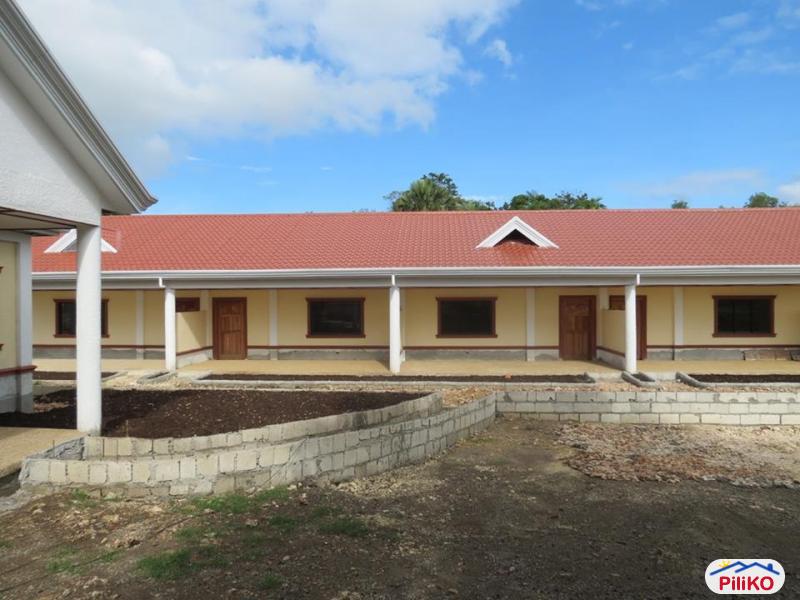 1 bedroom House and Lot for sale in Panglao