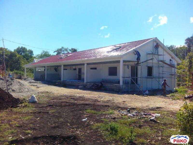 1 bedroom House and Lot for sale in Panglao in Bohol - image