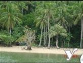Agricultural Lot for sale in Tinambac