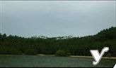 Agricultural Lot for sale in Tinambac in Camarines Sur