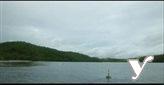 Agricultural Lot for sale in Tinambac in Philippines