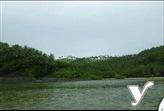 Picture of Agricultural Lot for sale in Tinambac in Camarines Sur