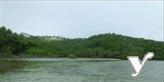 Agricultural Lot for sale in Tinambac in Camarines Sur - image