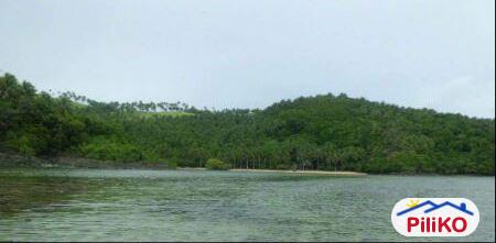 Agricultural Lot for sale in Tinambac in Philippines - image