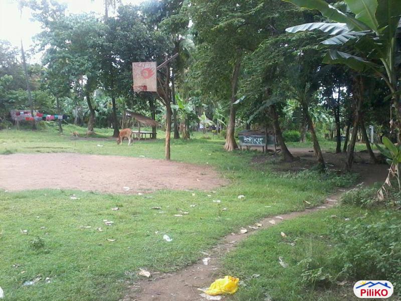 Picture of Residential Lot for sale in Minglanilla
