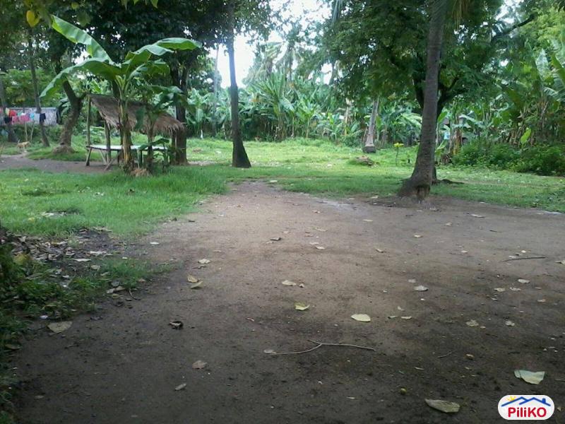 Residential Lot for sale in Minglanilla