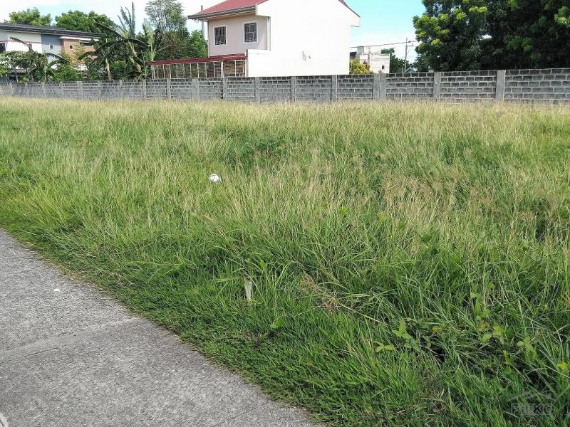 Residential Lot for sale in Rosario - image 3