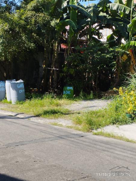 Lot for sale in Cainta in Philippines