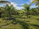 Agricultural Lot for sale in Sagbayan