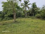 Agricultural Lot for sale in Ubay