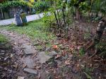 Agricultural Lot for sale in Aloguinsan