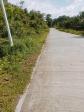 Agricultural Lot for sale in Balilihan