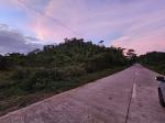 Agricultural Lot for sale in Balilihan