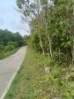 Agricultural Lot for sale in Sikatuna