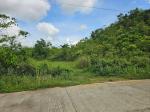 Agricultural Lot for sale in Balilihan