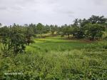 Agricultural Lot for sale in Trinidad