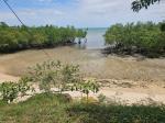 Agricultural Lot for sale in Buenavista