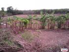 Agricultural Lot for sale in Lian
