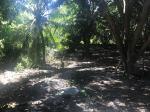 Residential Lot for sale in Dauin