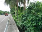 Commercial Lot for sale in Dumaguete