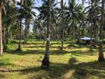 Land and Farm for sale in Bacong