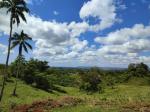 Land and Farm for sale in Santa Catalina