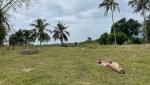 Lot for sale in Dauin