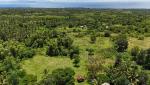 Residential Lot for sale in Dauin