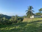 Residential Lot for sale in Sibulan