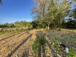Residential Lot for sale in Siquijor