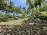 Commercial Lot for sale in San Juan
