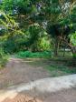 Residential Lot for sale in Dauin