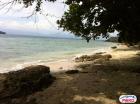 Agricultural Lot for sale in Island Garden City of Samal